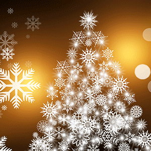 Weihnachtsgeschenk